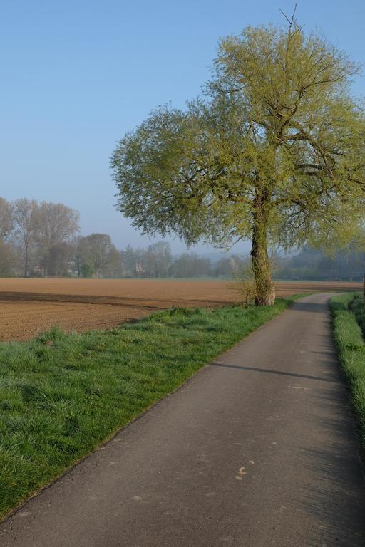 B&B Silentium Tielt-Winge Luaran gambar