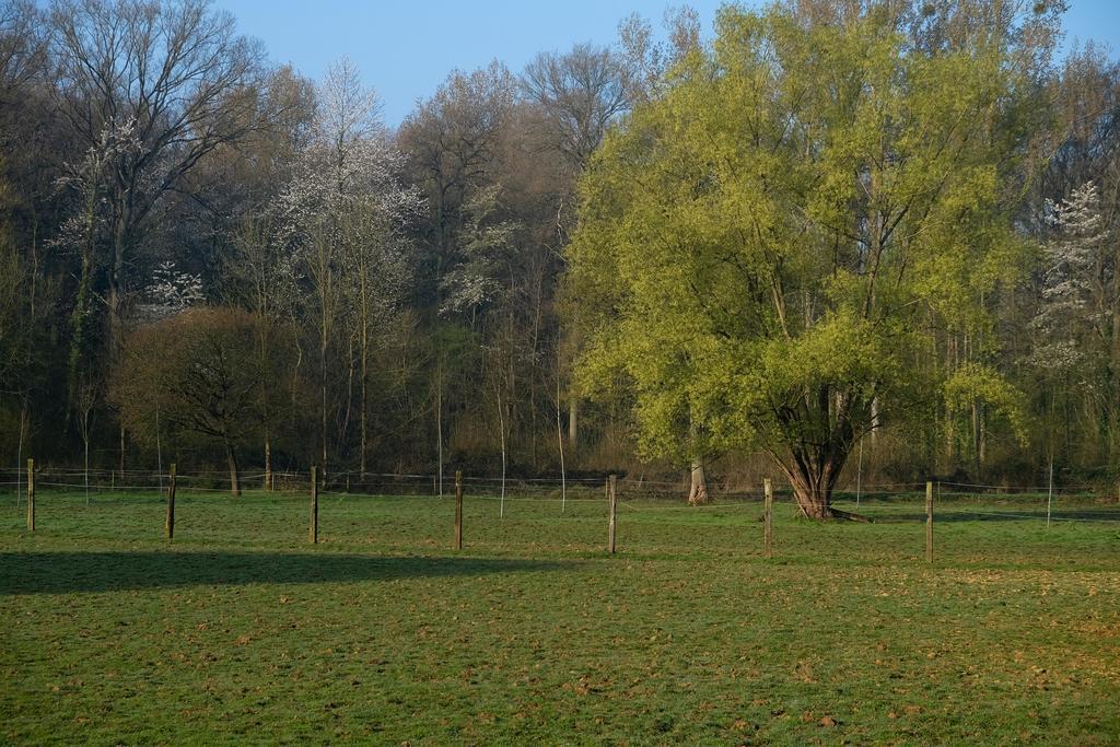 B&B Silentium Tielt-Winge Luaran gambar