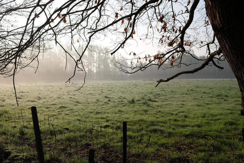 B&B Silentium Tielt-Winge Luaran gambar